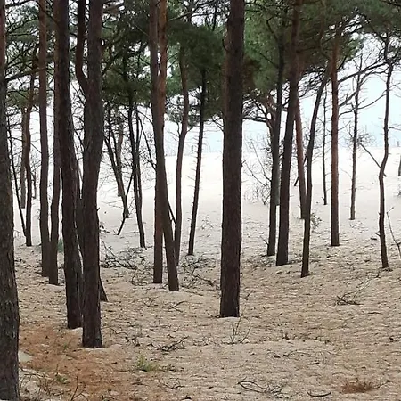 Nadmorska Rowy (Pomerania)