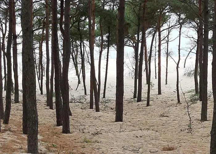 Nadmorska Rowy (Pomerania)